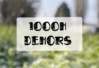 passer 1000h dehors par an