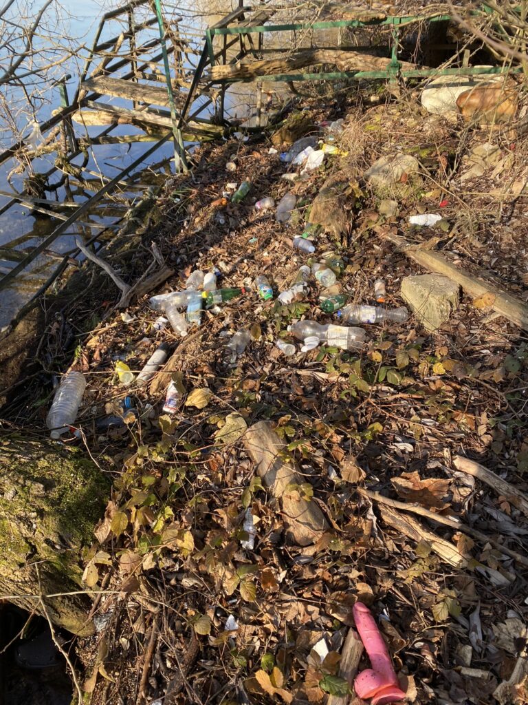 nettoyage des berges de ses déchets pour nettoyer la nature