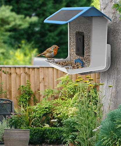 Caméra d'observation des oiseaux avec mangeoire