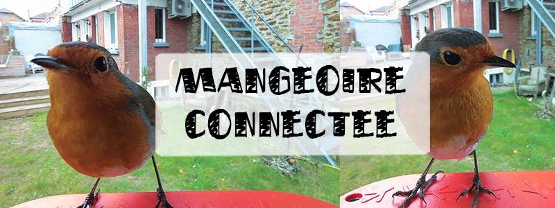 comparatif mangeoire connectée