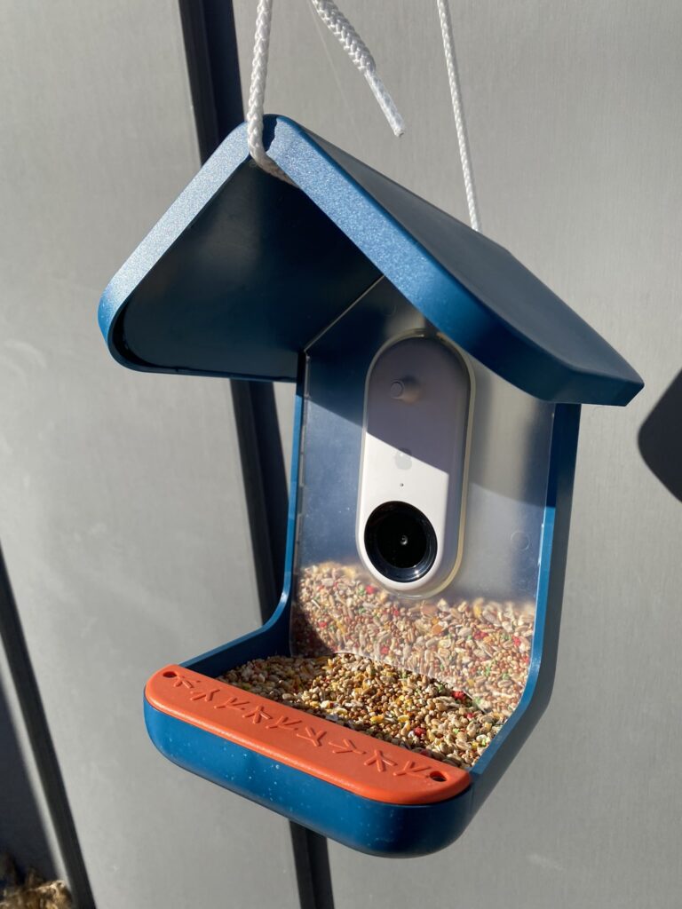 Bird Buddy, une mangeoire connectée pour observer les oiseaux