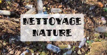 nettoyage des berges, nettoyage de la nature