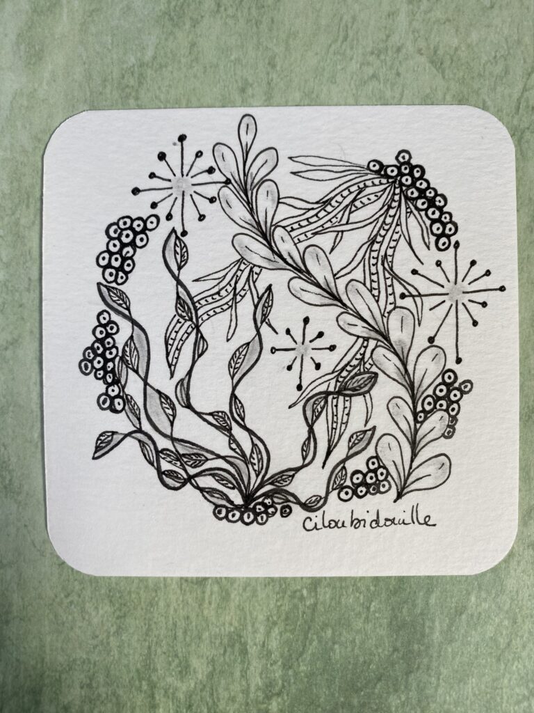 J'expérimente enfin le zentangle 13 IMG 7405