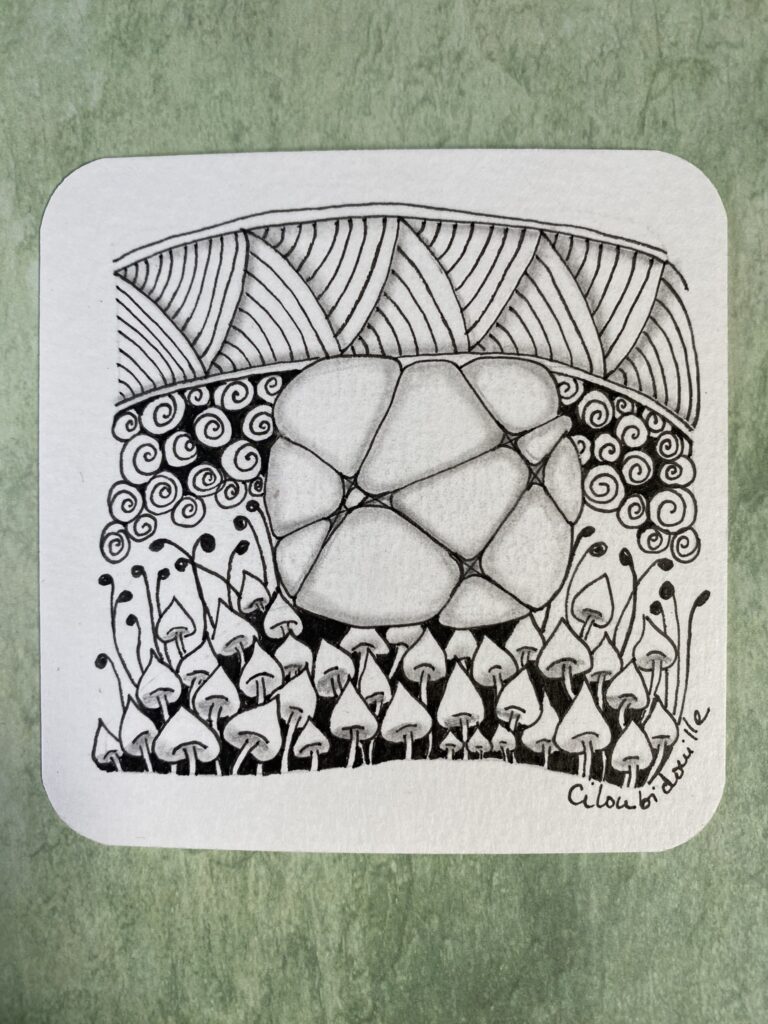 J'expérimente enfin le zentangle 11 IMG 7406