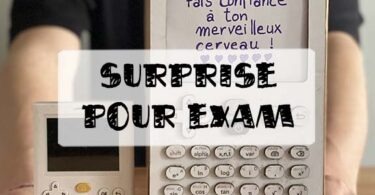 idées de surprise pour le bac