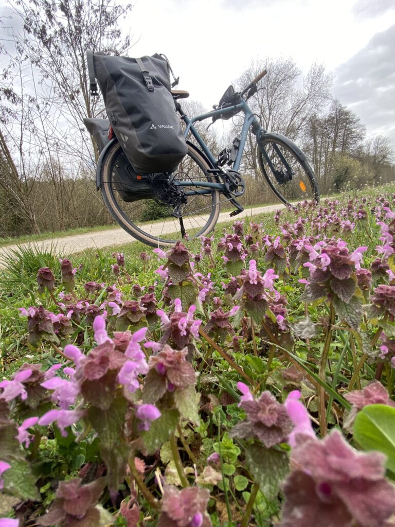 vélo au féminin