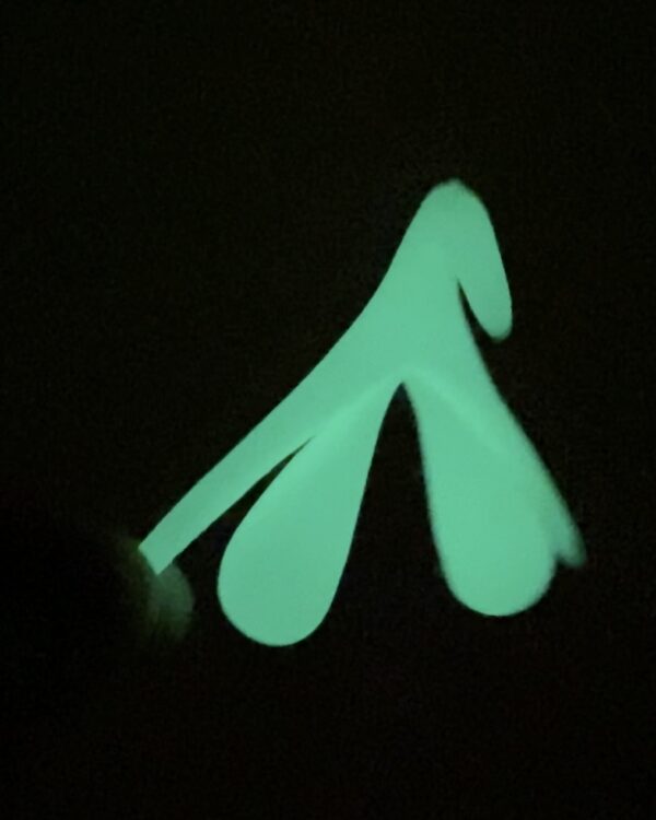 clitoris 3D phosphorescent