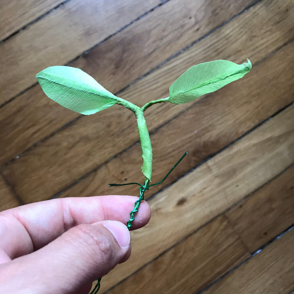 corps du botruc à moitié recouvert de papier crépon 