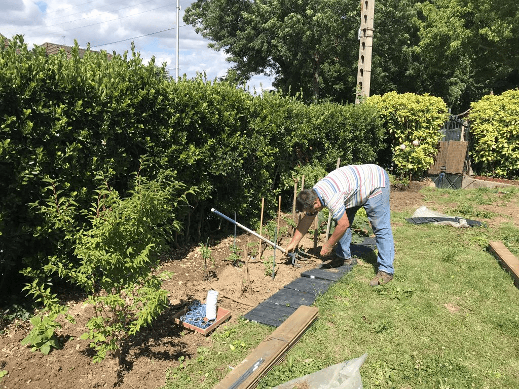 L'épanouissement personnel par les 8 radis du jardin 4 image 20