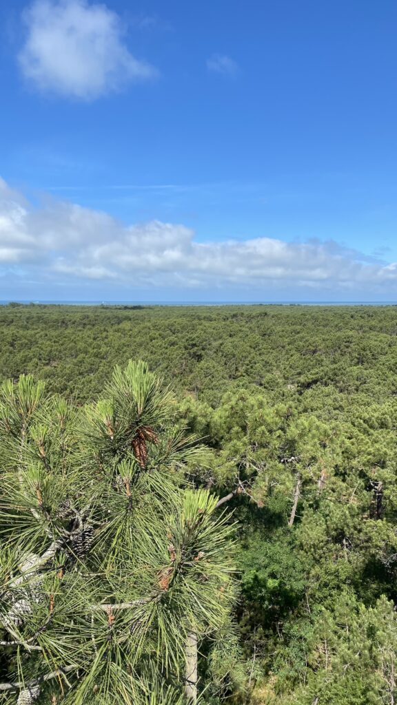 vue du belvédère du Pey de la Blet