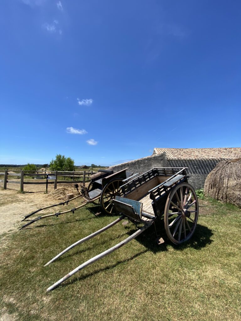 expositions et activités de l'Écomusée du Daviaud