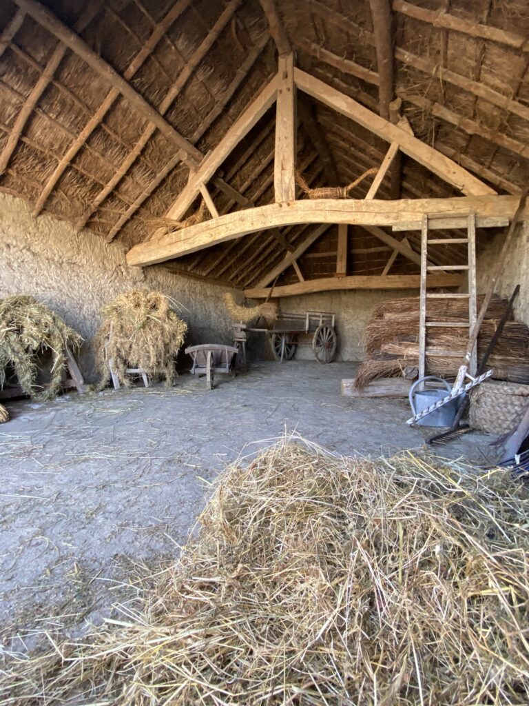 expositions et activités de l'Écomusée du Daviaud