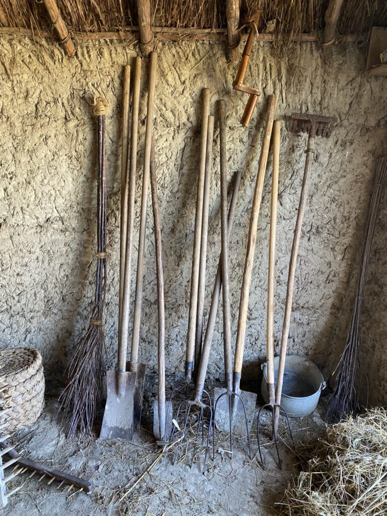 expositions et activités de l'Écomusée du Daviaud