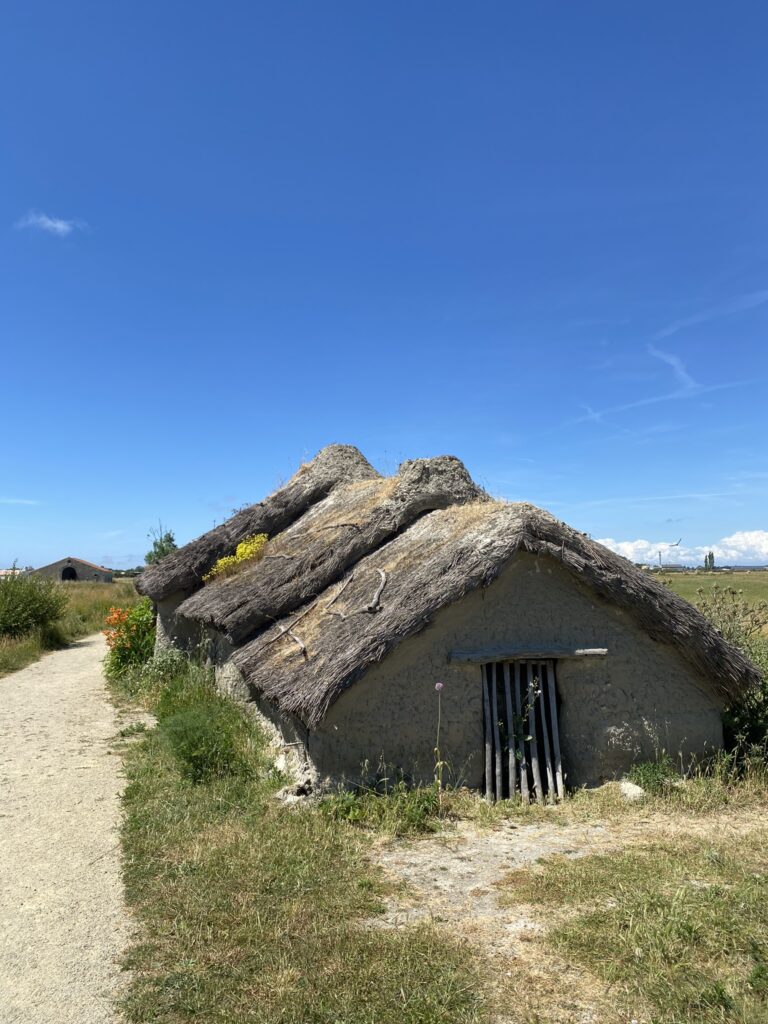 expositions et activités de l'Écomusée du Daviaud