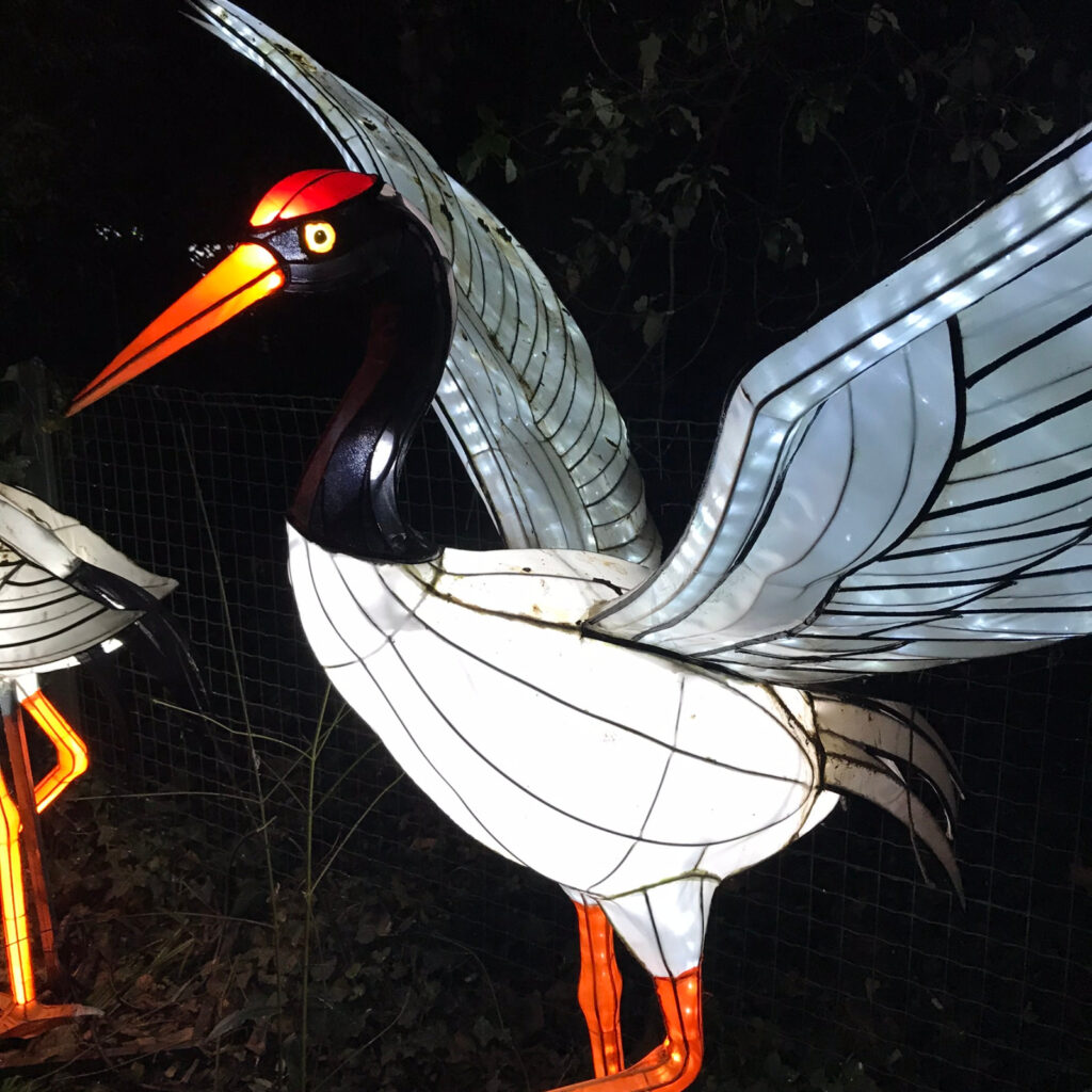 Jardin des plantes en famille : expositions lumineuses 4 Grue illuminée jardin des plantes exposition