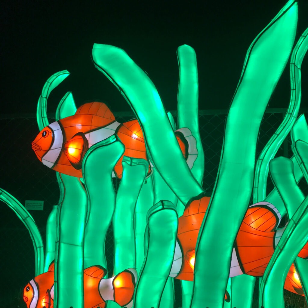 Jardin des plantes en famille : expositions lumineuses 5 Poisson clown illuminé jardin des plantes illuminations