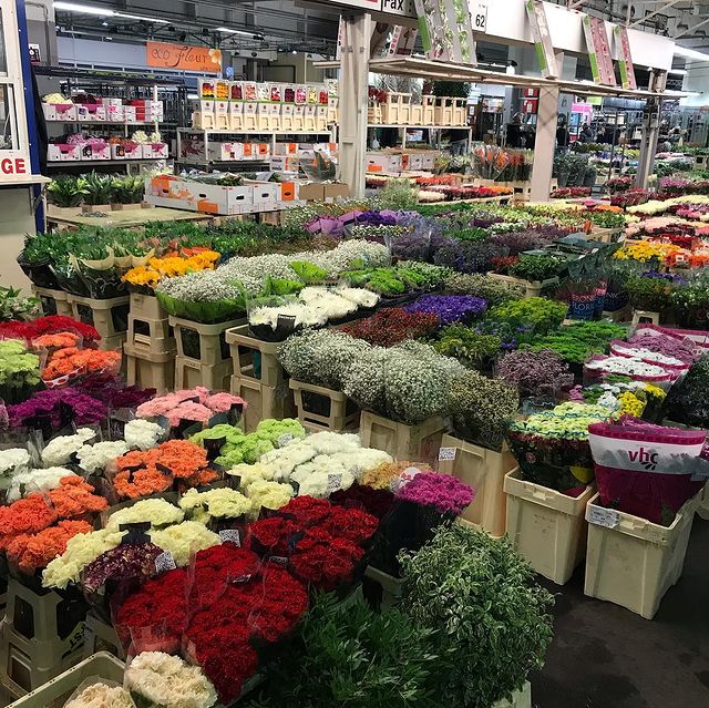 Le marché de Rungis : Un immense lieu de consommation 4 Marche de Rungis Fleurs n3