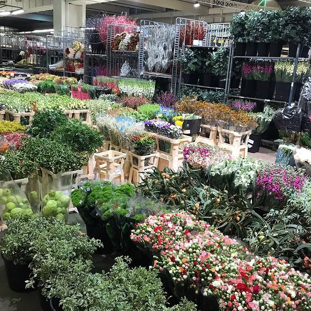 Le marché de Rungis : Un immense lieu de consommation 6 Marche de Rungis Fleurs