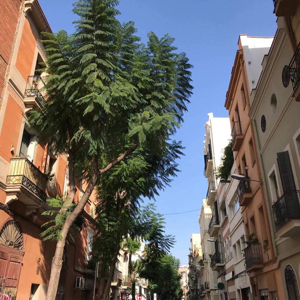 voyage à barcelone : rues de barcelone