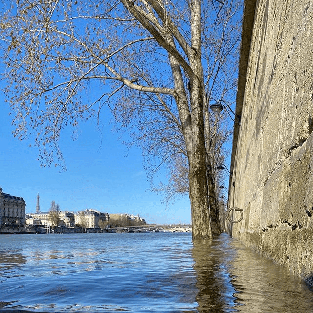 crue de la seine à Paris