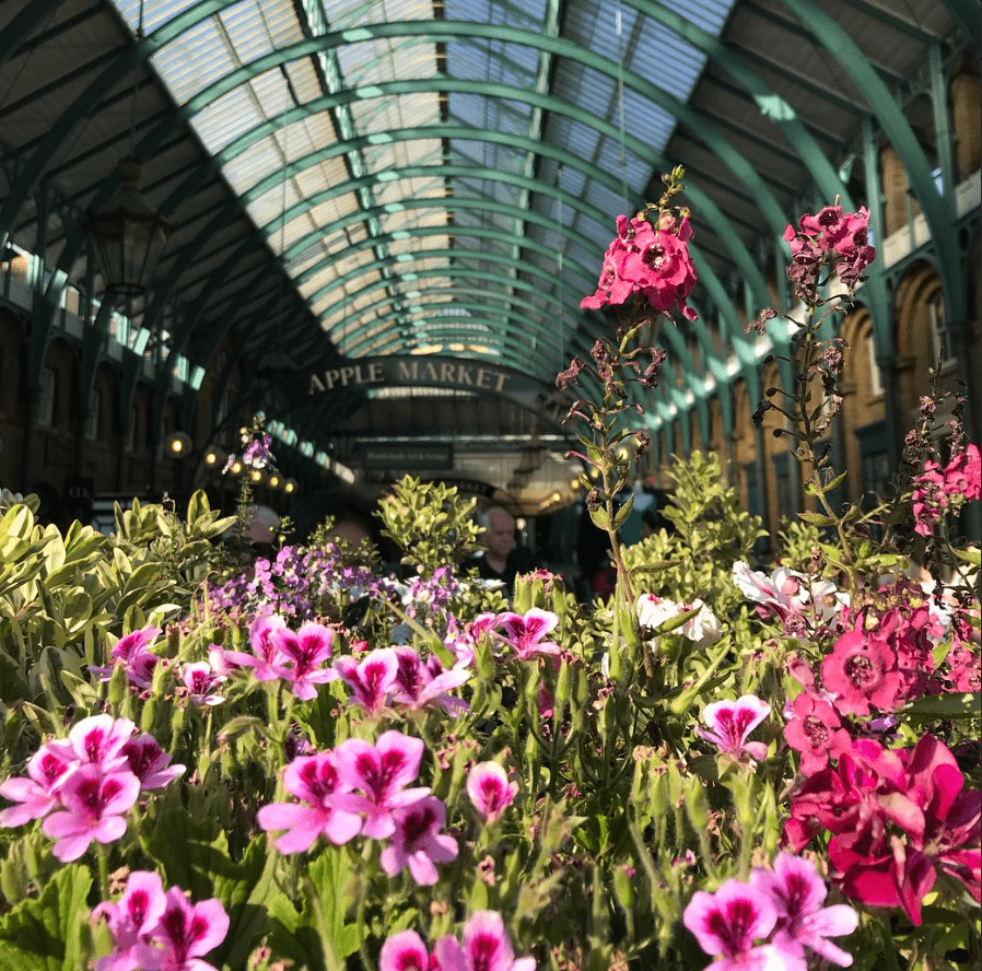 covent garden apple market