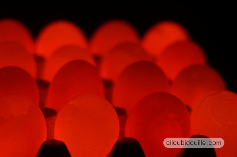 Lumières dansantes : comment les bougies éclairent mon intérieur 2 lampe à oeufs