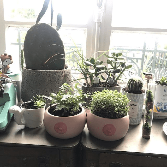 Upcycling : comment redonner vie à l'héritage de votre famille 4 cache pots seins