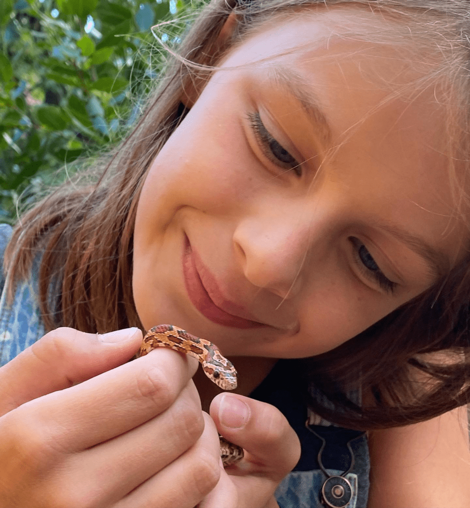 Aventure d'escargots domestiques: Notre expérience inédite 4 image 180