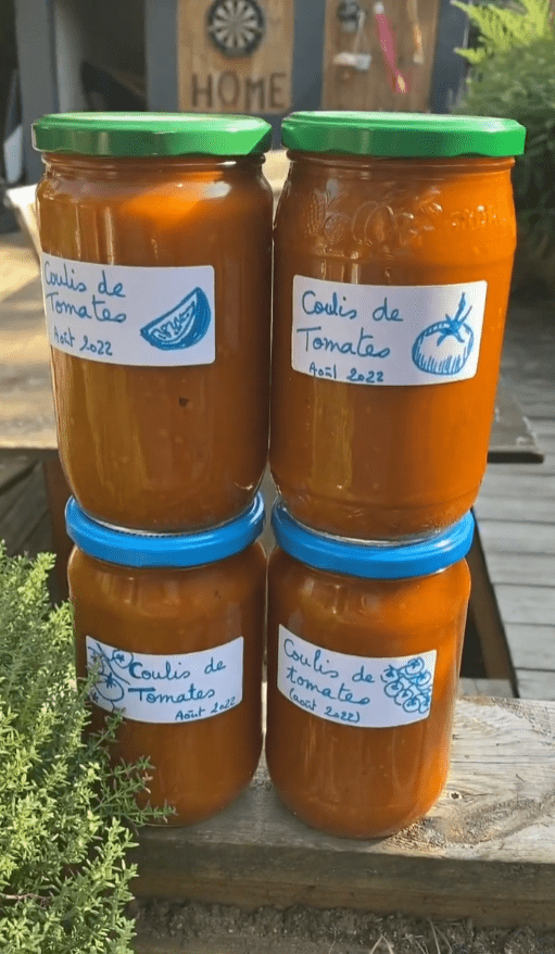 coulis de tomates du jardin prêt