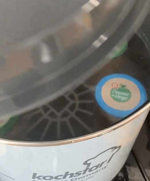 Mon expérience sur l'abondance de mon jardin 7 coulis de tomates du jardin réchauffé