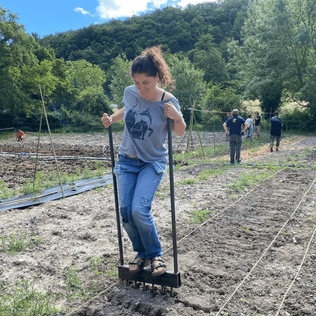 La nature, resplendissante, et remplie de lieux magiques 2 stage de permaculture