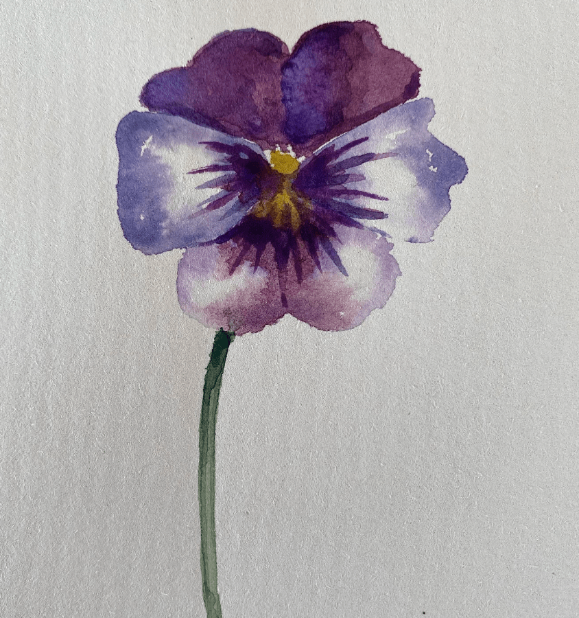 fleur en aquarelle