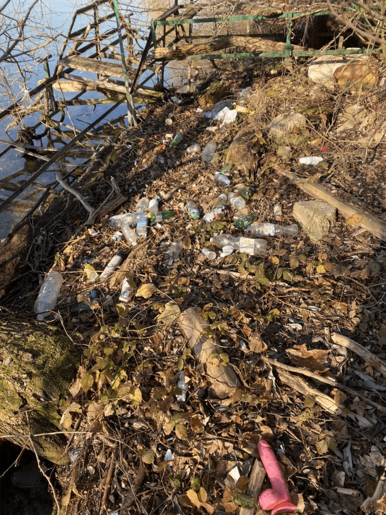 Réflexion sur la conscience écologique 3 image 65