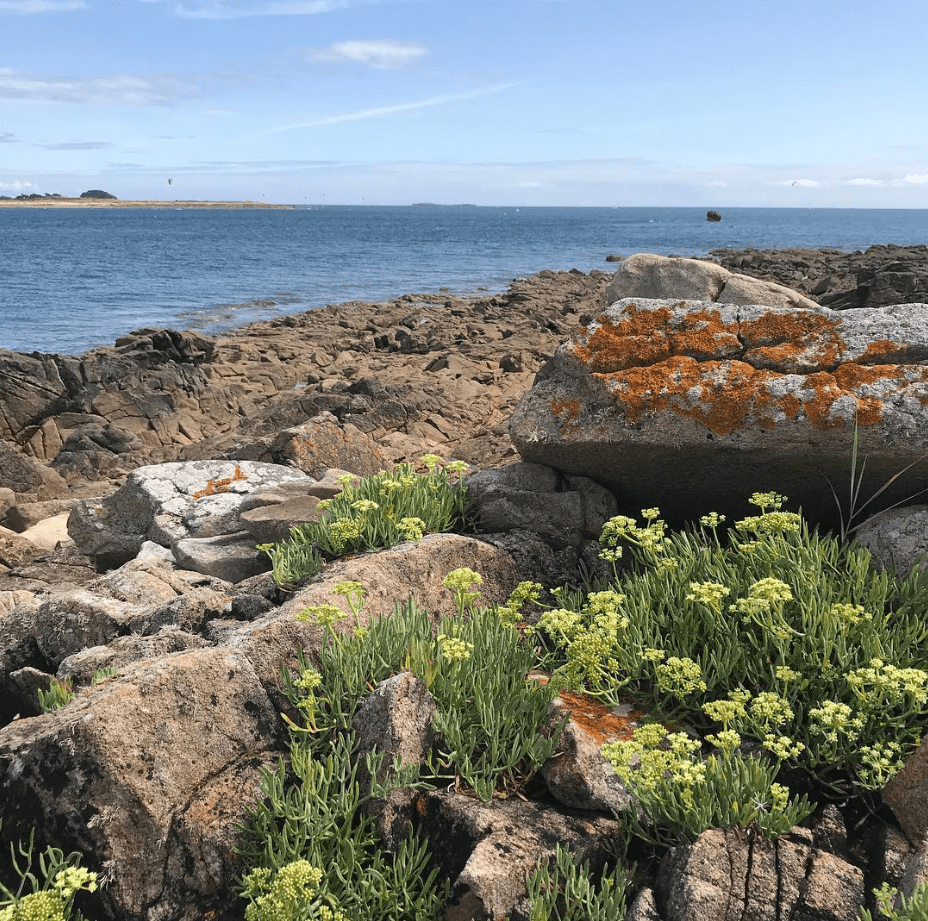 plage de Saint philibert