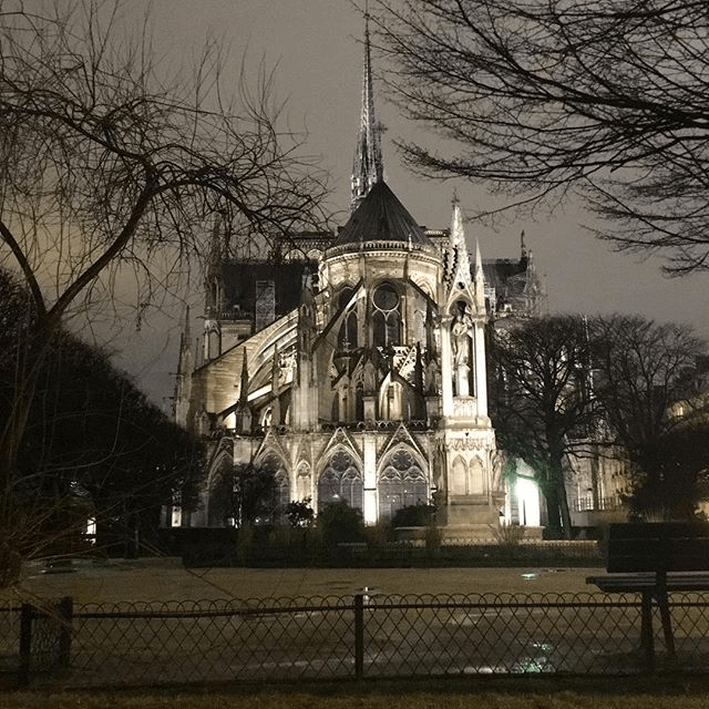 Notre Dame de Paris de dos