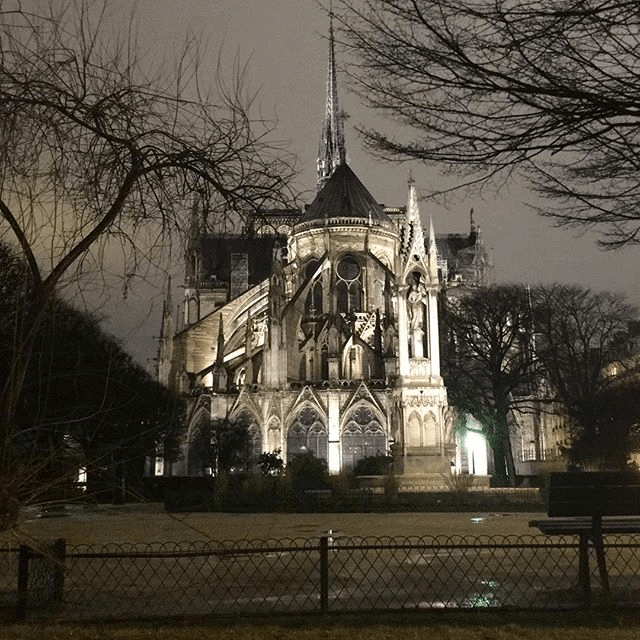 Jardin des plantes en famille : expositions lumineuses 8 Notre Dame de Paris de dos