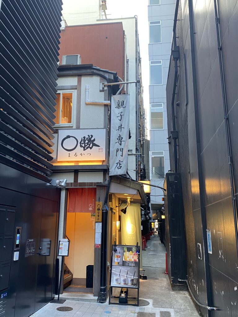 Trois jours à Tokyo en famille 25 quartier de Ginza à tokyo