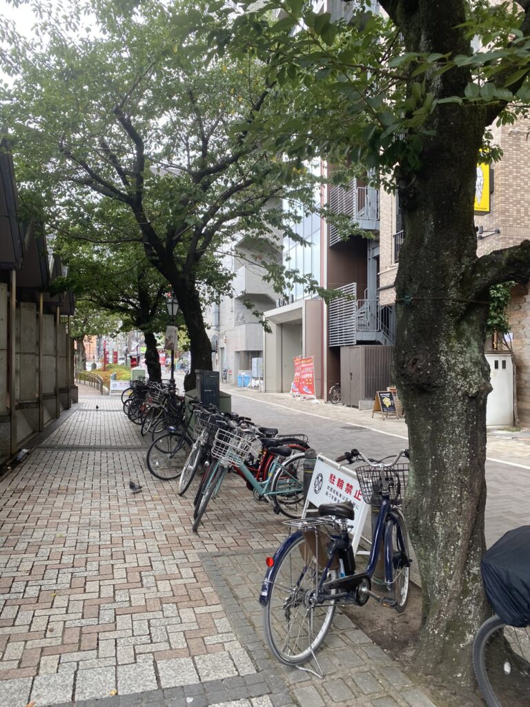 Trois jours à Tokyo en famille 64 IMG 3927