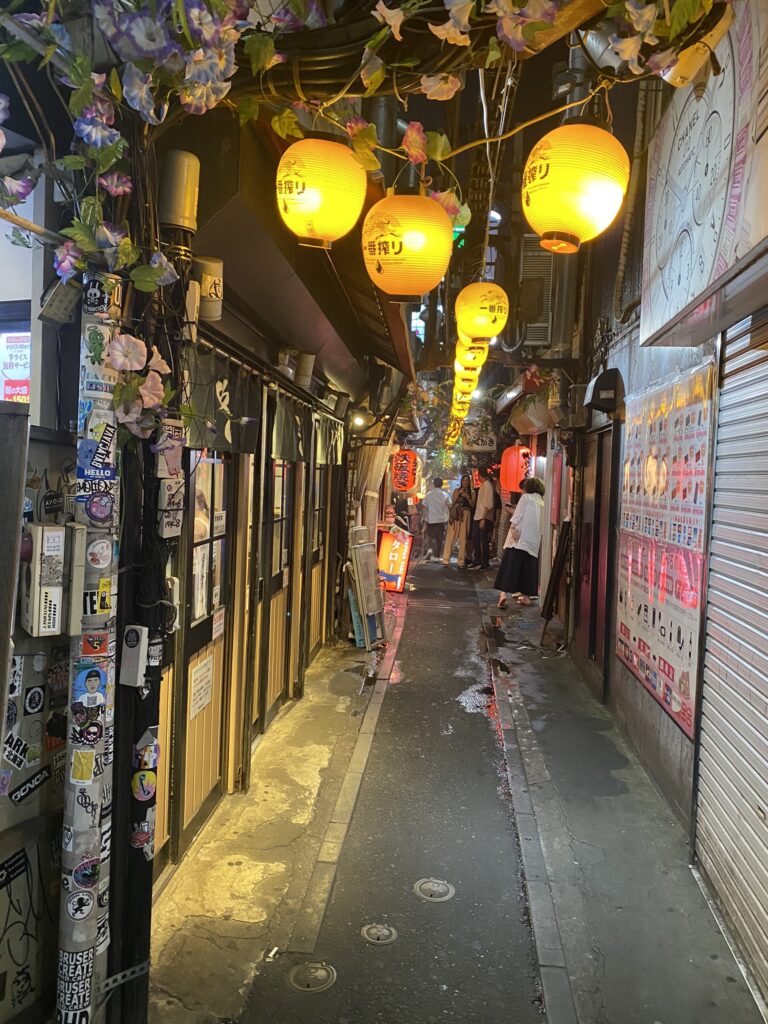 Trois jours à Tokyo en famille 96 rue omoide Yokosho à tokyo