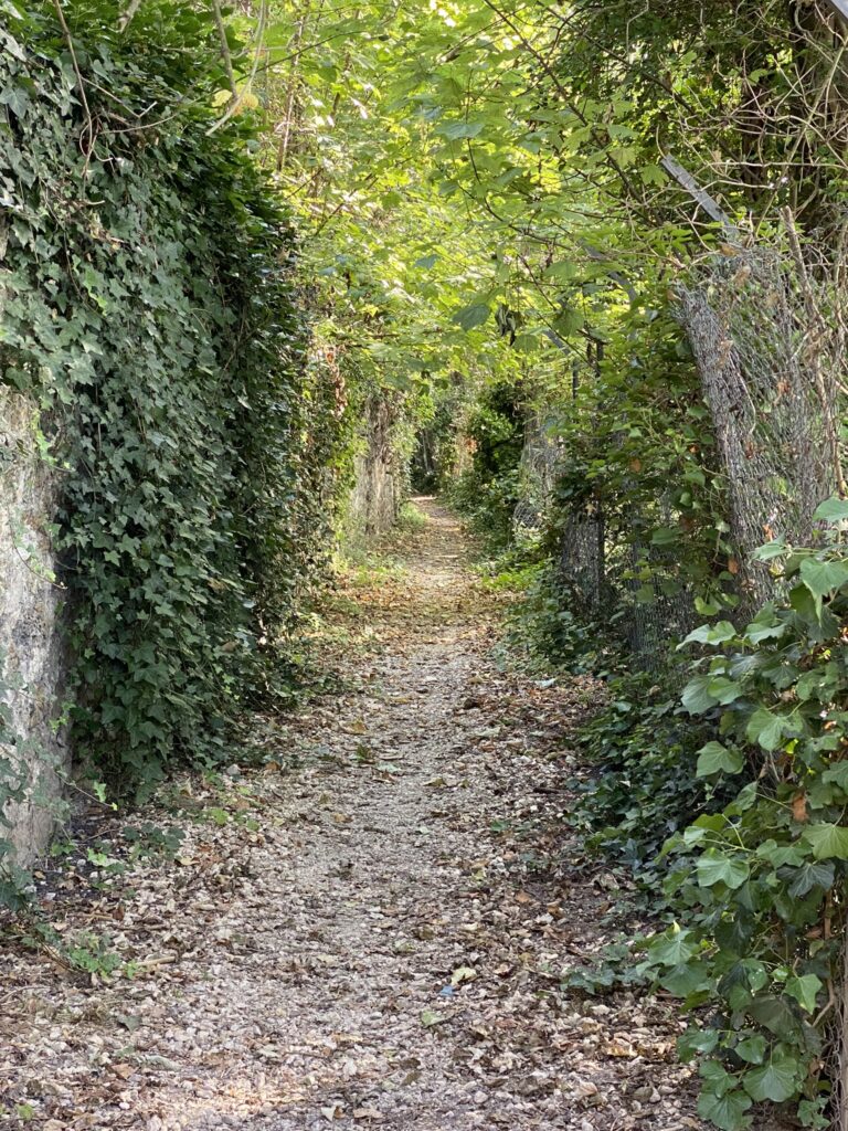 chemin secret à Villeneuve le roi