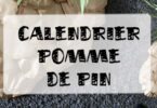 calendrier de l'avent pomme de pin géante