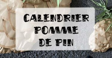 calendrier de l'avent pomme de pin géante