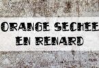 renard orange séchée