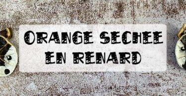 renard orange séchée