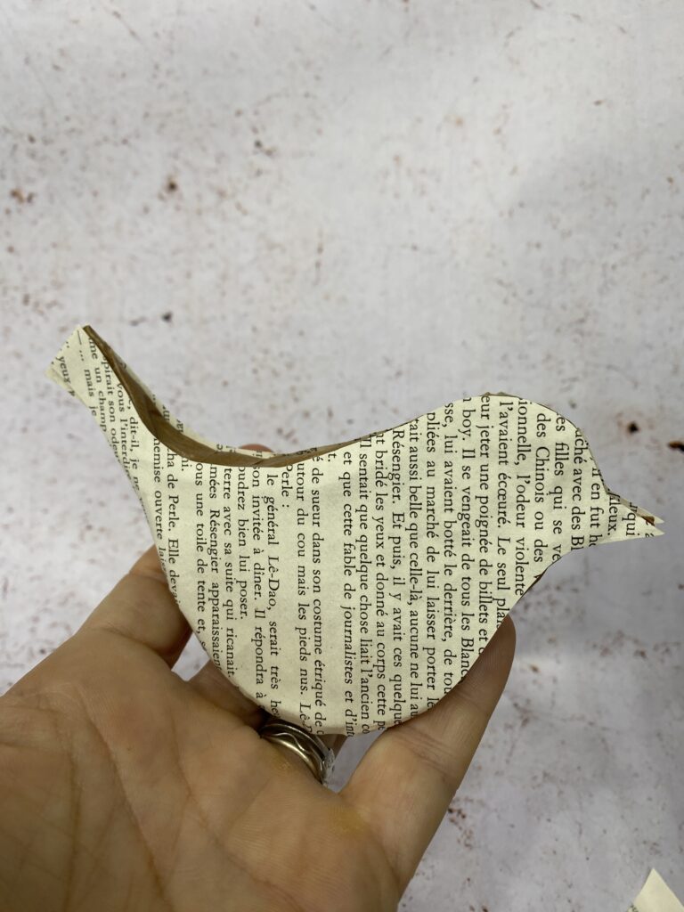 Comment fabriquer un oiseau à partir de récup : surprise n°4 8 IMG 1565