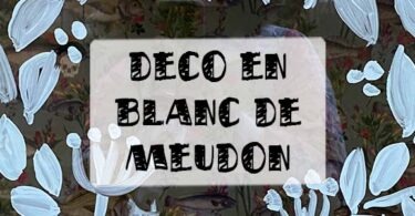 blanc de meudon, astuce et conseil pour décorer les vitres