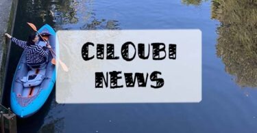 ciloubinews