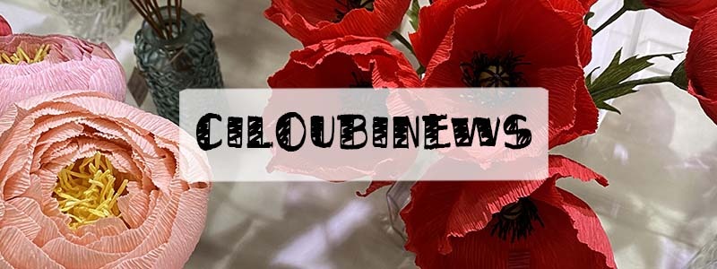 CiloubiNews de mi décembre