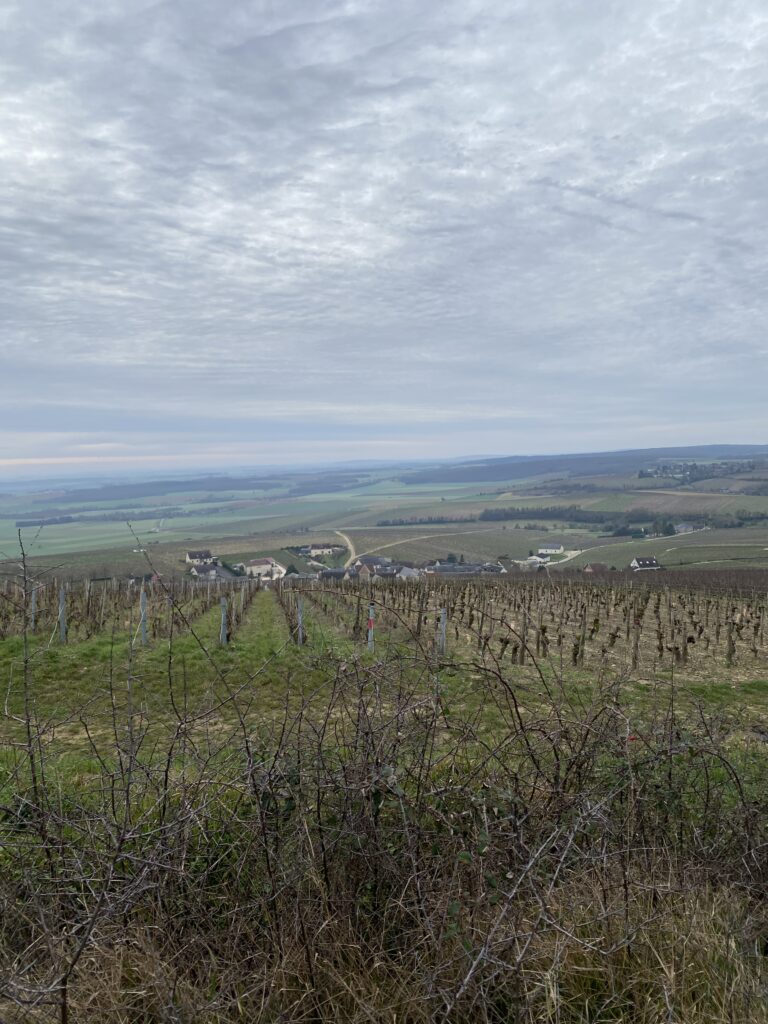 Marcher 56 kilomètres pour relier Bourges à Sancerre 15 IMG 3997