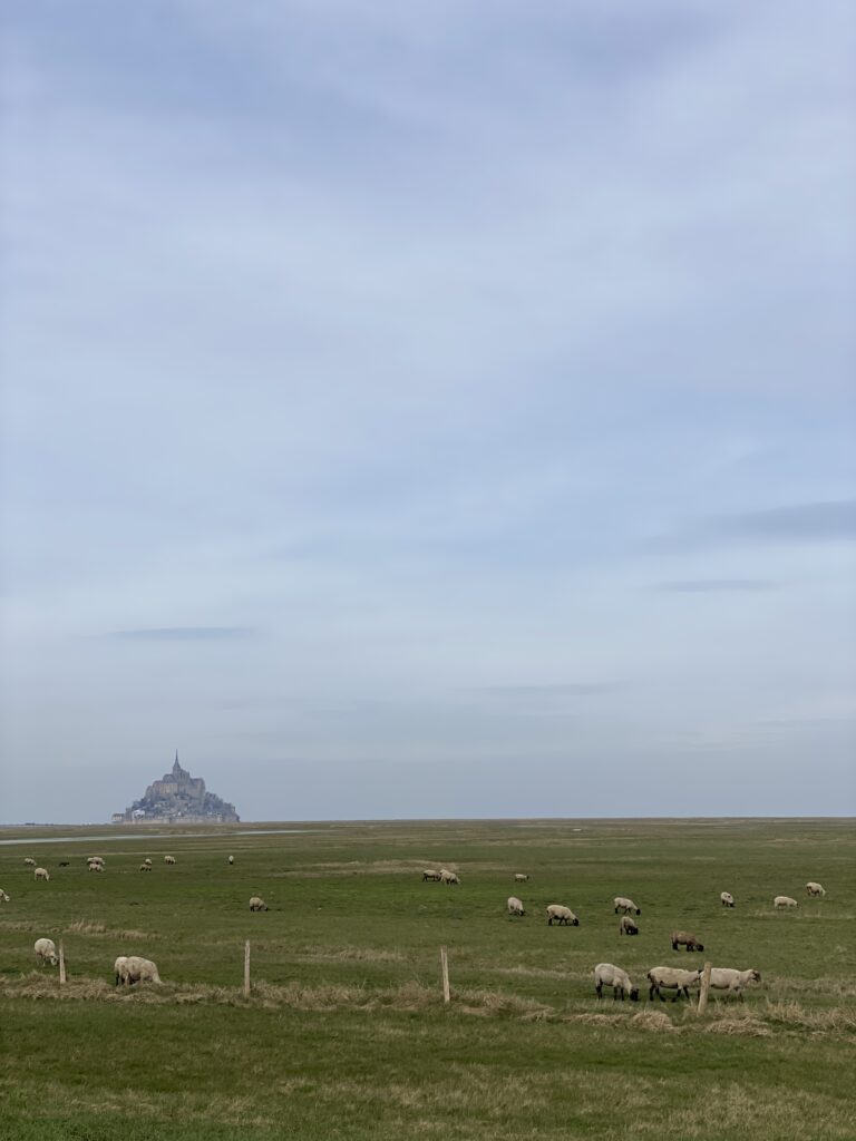 Super conseils pour pédaler de Paris à Saint-Malo à vélo toute seule 26 IMG 4778